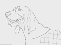 03fdeb7d 0ab7 49d5 b7cf c954a1b573f7 1920×1080