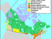 54274460 8bd9 4d7e be56 42ebb9854f08