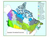 55551ff211b4d4a6d72a175eff4283f9