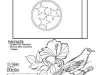 TennesseeStateColoringBook