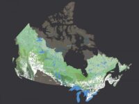 intact forest onthemap web size