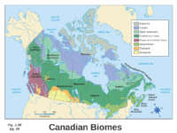 ma4qvaw46tgllx4z3s3ka6tcat6jc3sachvcdoaizecfr3dnitcq 3 0