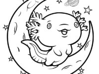 il 1140xN.3917721596 c4un