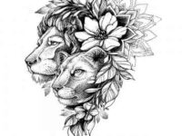 pngtree two lion png image 448528