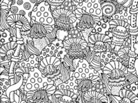 381ca6881478447386112d75b3e4a11f