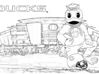 cc8c292f9e2dd8e511e2c554d8c47764