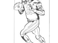 e1d15ff56eef96d14952347a64ece12c