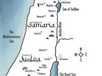 il 570xN.4444533441 qnmu il 570xN.4444533441 qnmu