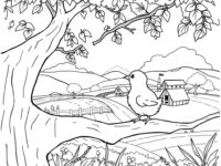 where is chicky coloring pages