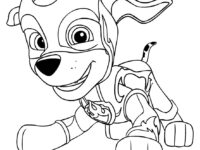 7dc0b9fac6025f8696817579401f2880