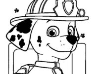 Cute Marshall Paw Patrol coloring page