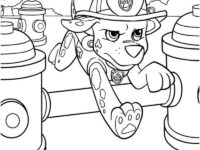 Marshall Paw Patrol 3 coloring page