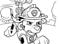 Marshall Paw Patrol 4 coloring page