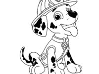 Paw Patrol Marshall 2 scaled 1