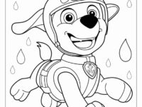 Zuma Water Rescue Dog From Paw Patrol To Color 791×1024 1