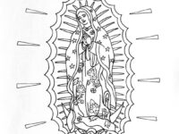 il 1080xN.4455084499 nkj5