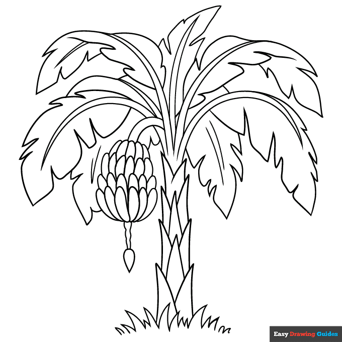 1650 easy banana tree coloring page