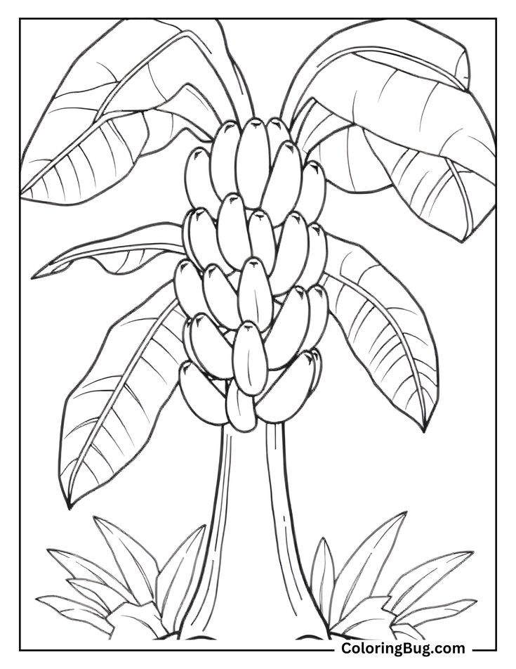 1cceead32dabd1d99a7dfe74ae7f4735