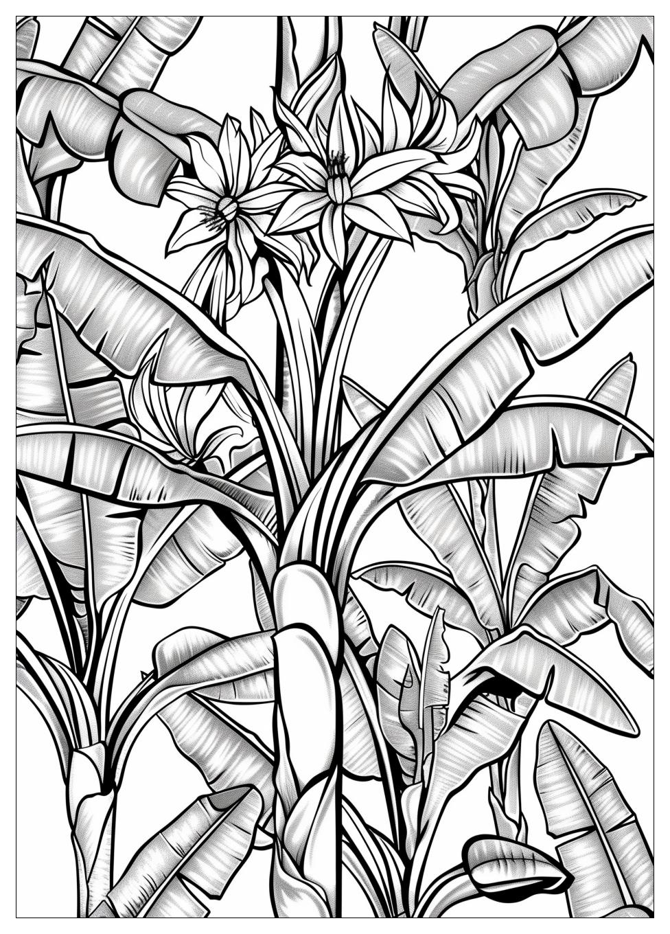 Banana Tree Coloring Pages 16
