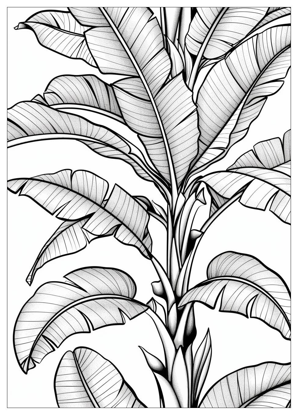 Banana Tree Coloring Pages 17