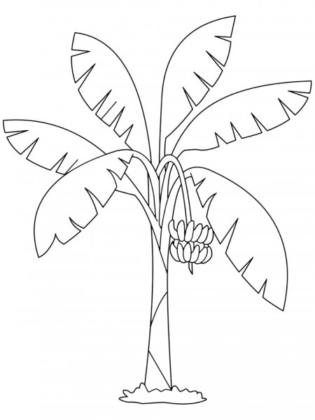 Banana Tree coloring page 1