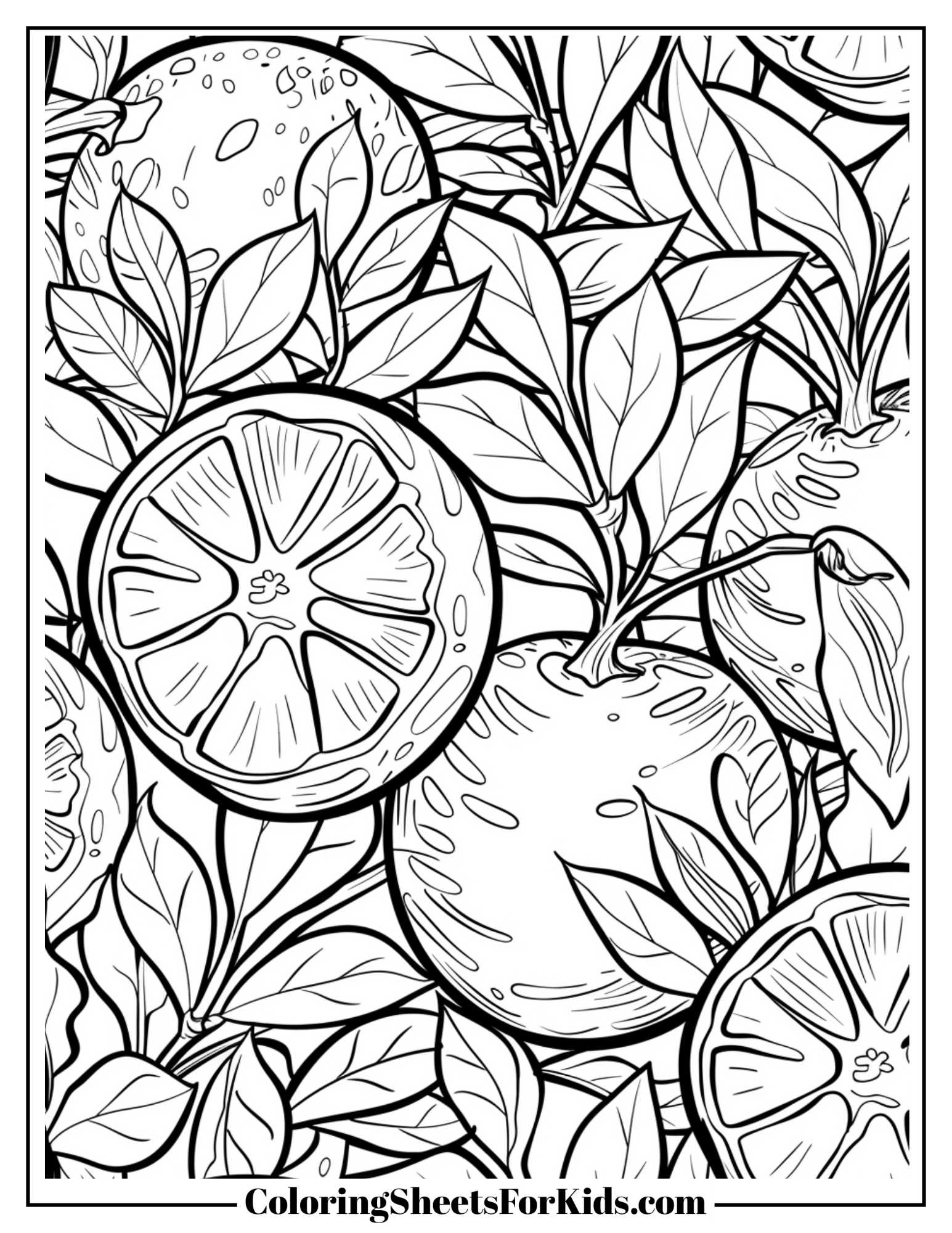 Realistic Orange Coloring Pages