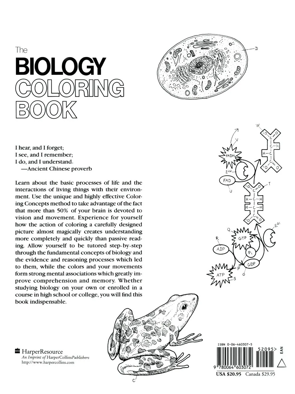 The Biology Coloring Book English Adult Coloring Pages Coloring Books for Adults Art