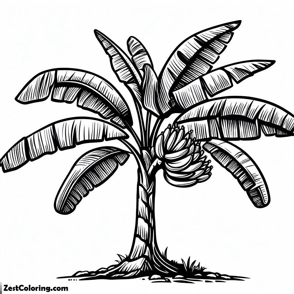 banana tree coloring page