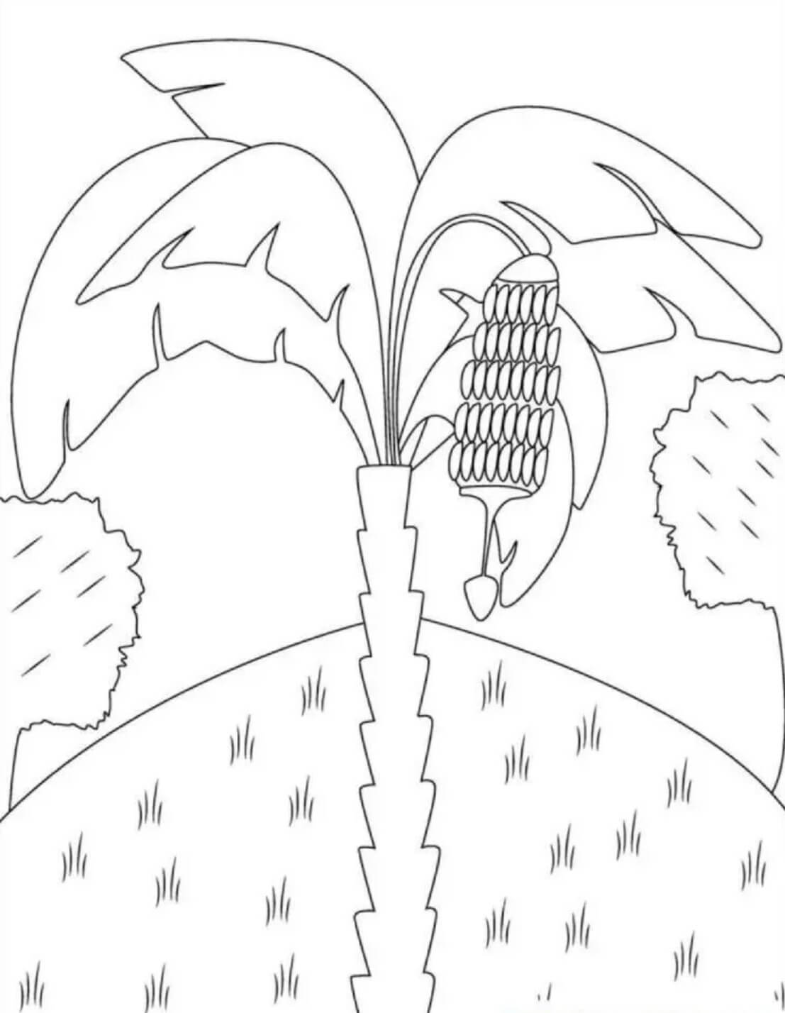 banana tree coloring