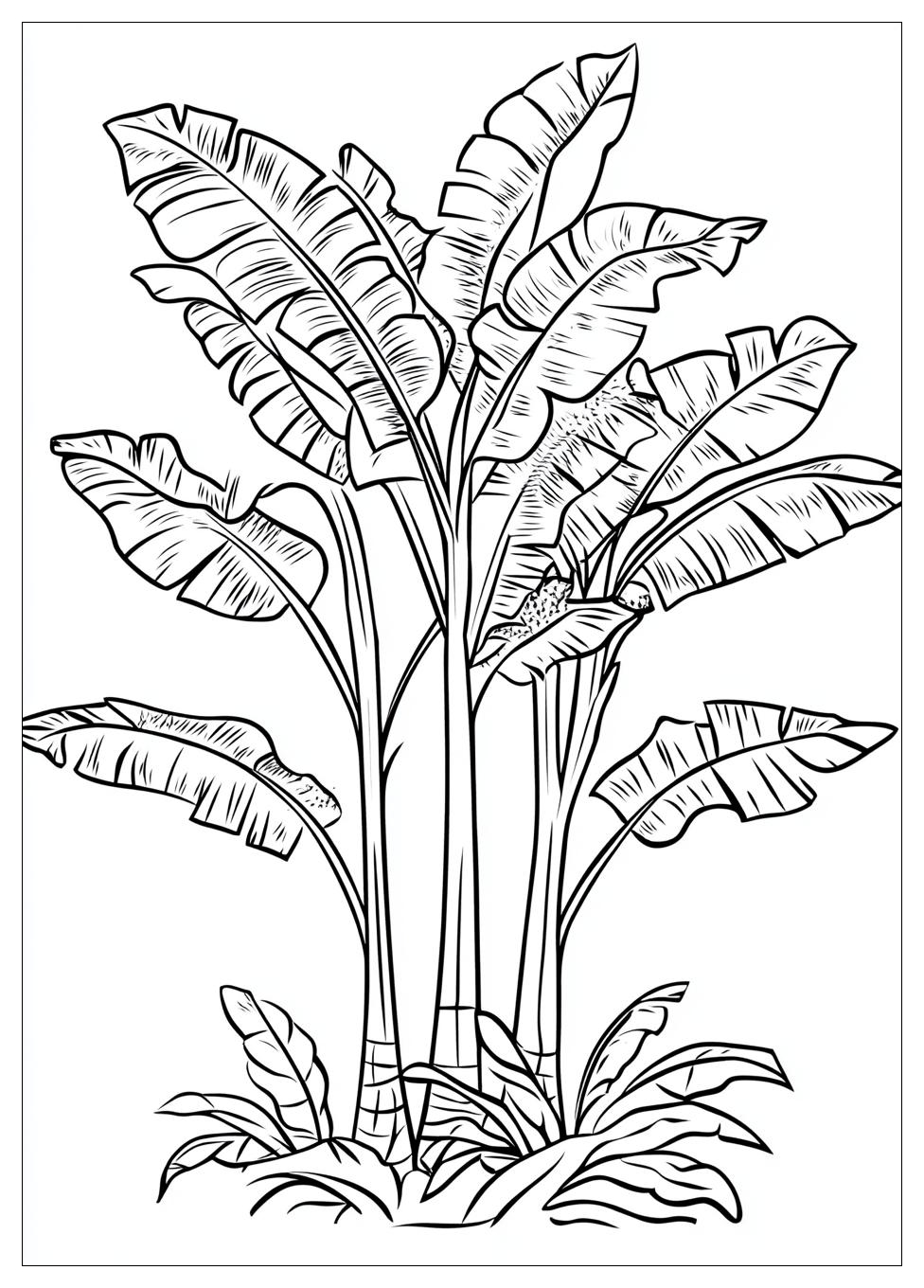 banana tree coloring pages 17