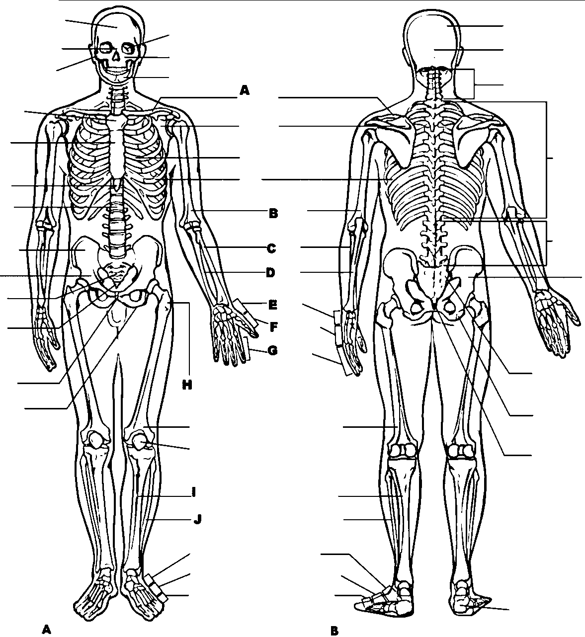 biology coloring page 0017 q1