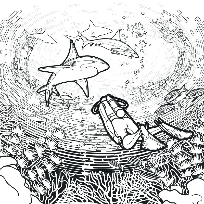 biology coloring pages 11