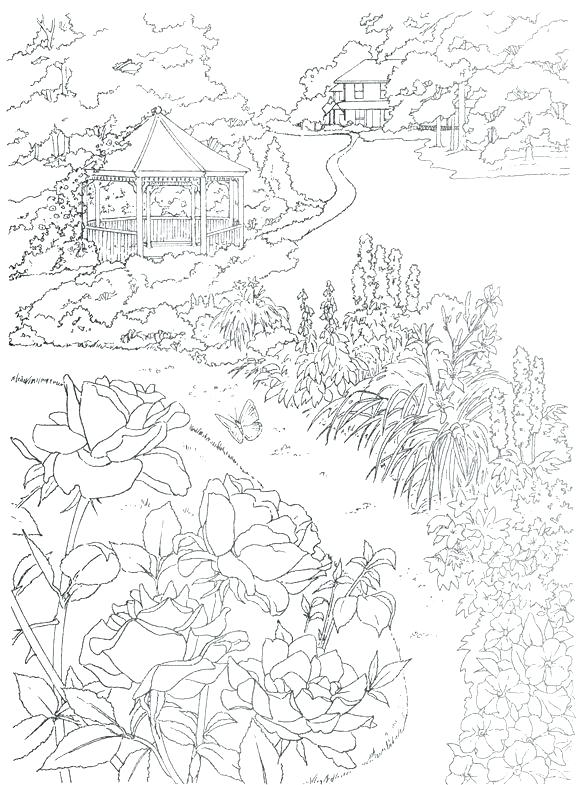 biology coloring pages 36