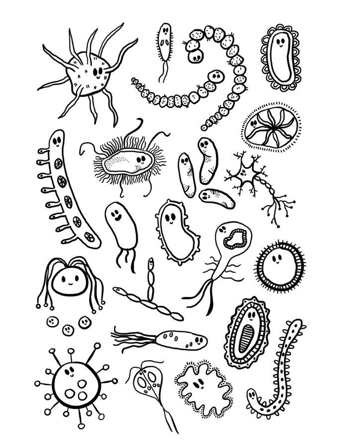 biology coloring pages