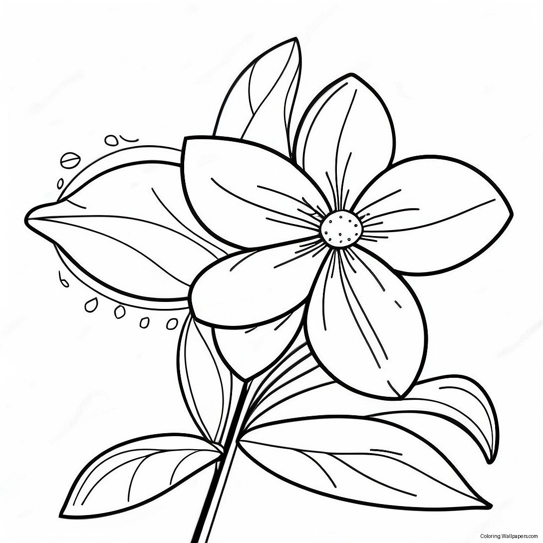 orange blossom flower coloring page 38323 30315