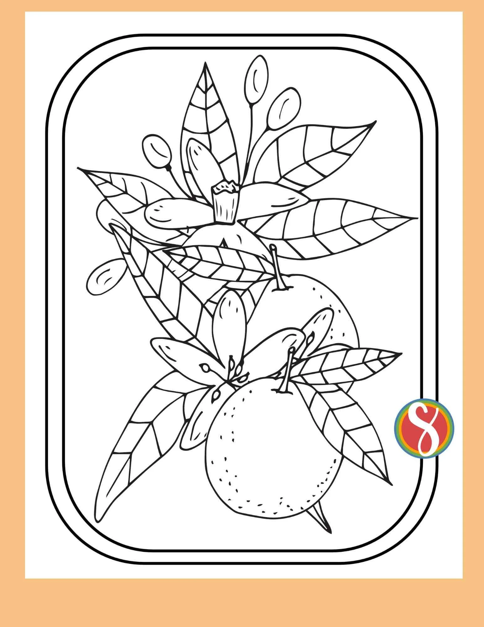 orange+blossom+coloring+pages