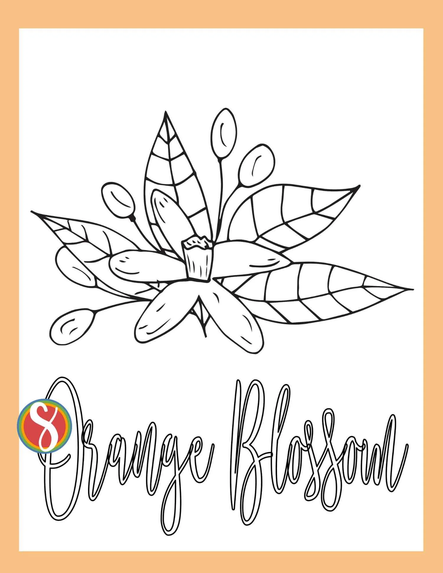 orange+blossom+coloring+pdf