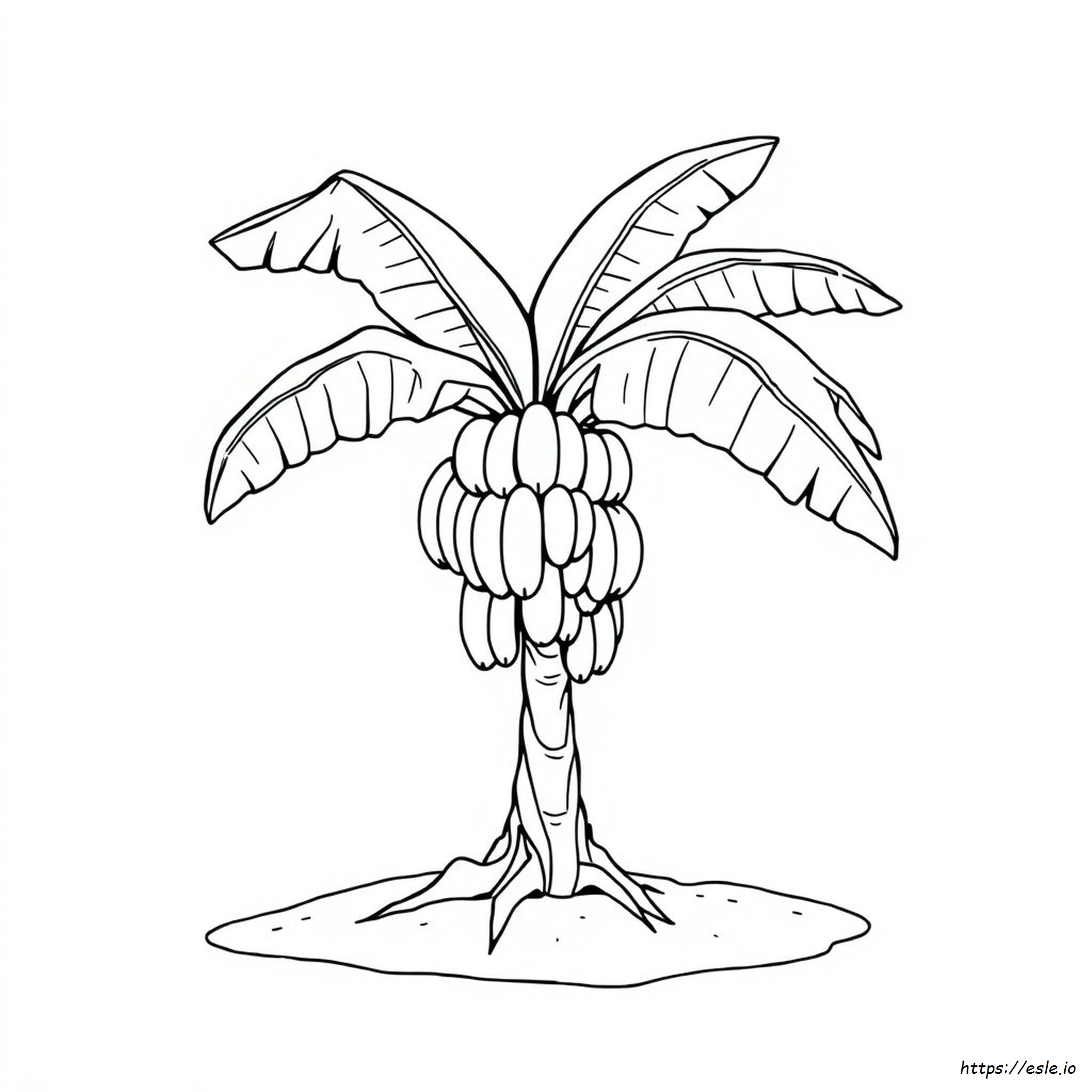 printable banana tree coloring page