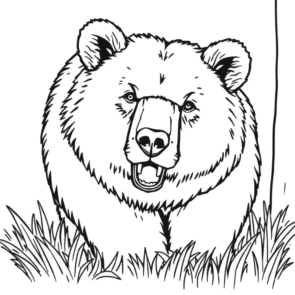 Brown Bear Color Page