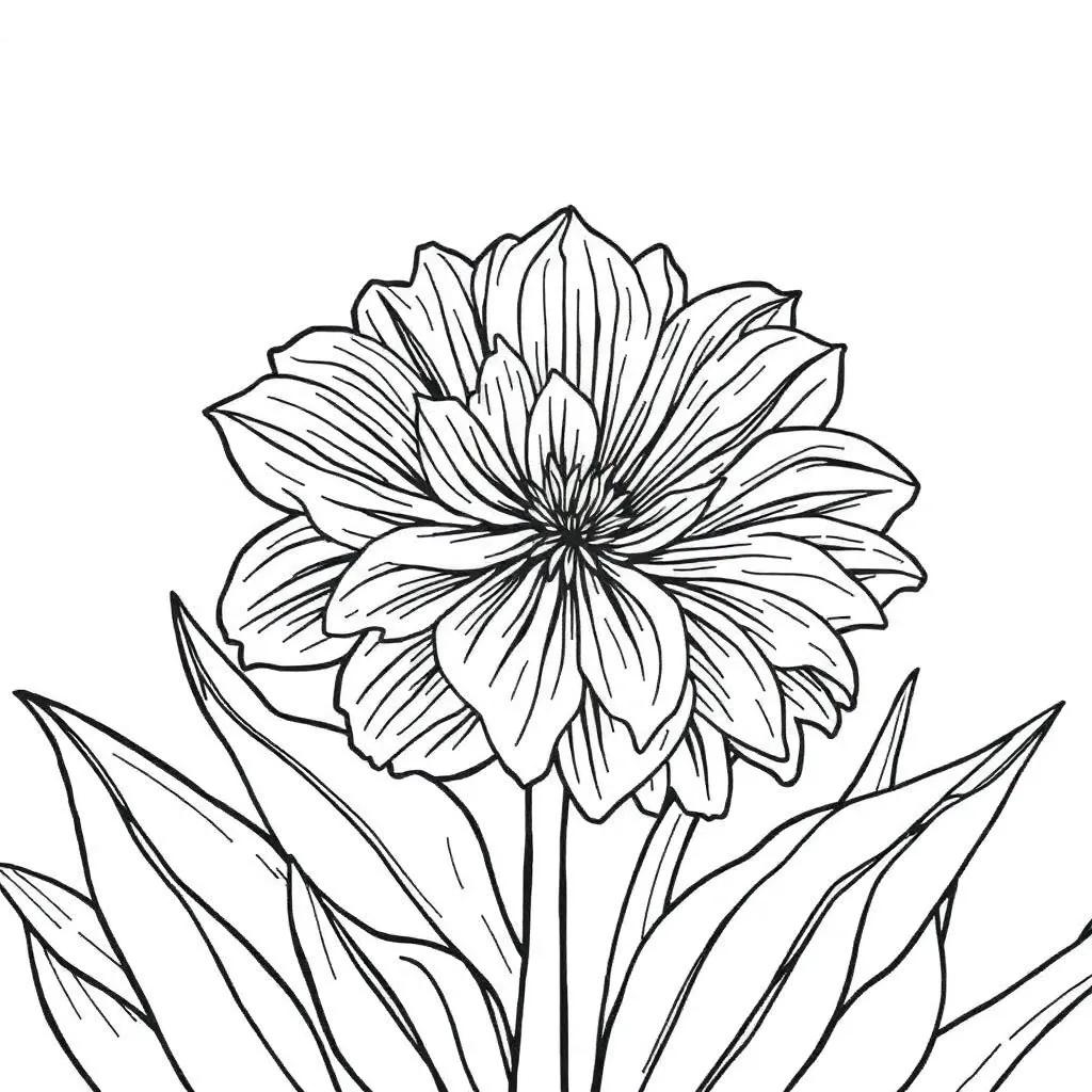 Color Purple Coloring Pages