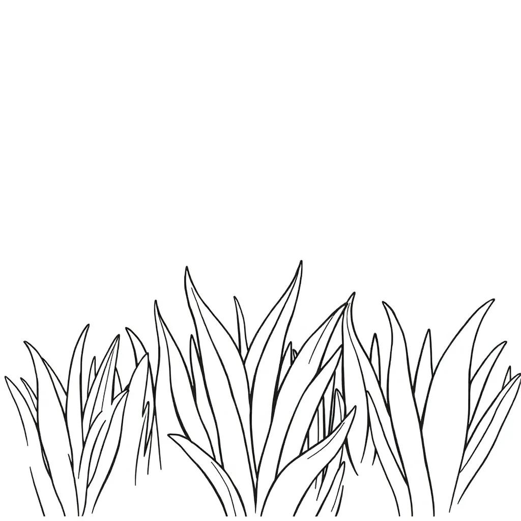 Free Print Coloring Page