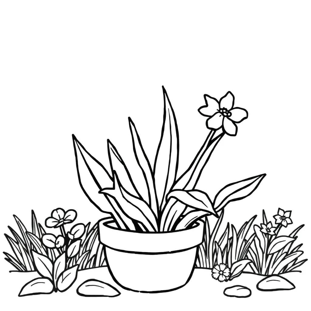 Plant Coloring Pages For Kindergarten Plant Coloring Pages For Kindergarten