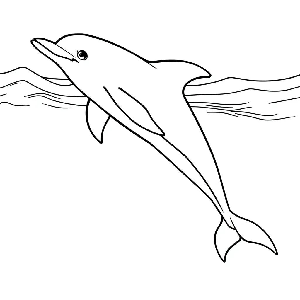 Print Dolphin Coloring Pages