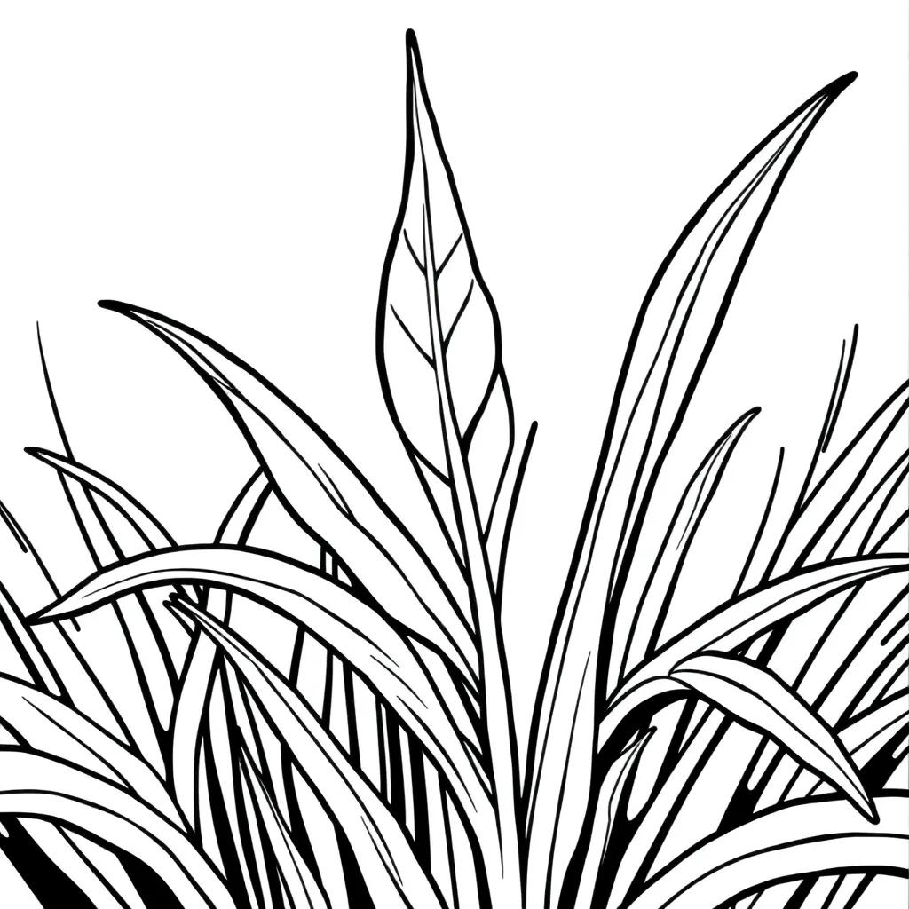 Weed Leaf Coloring Pages