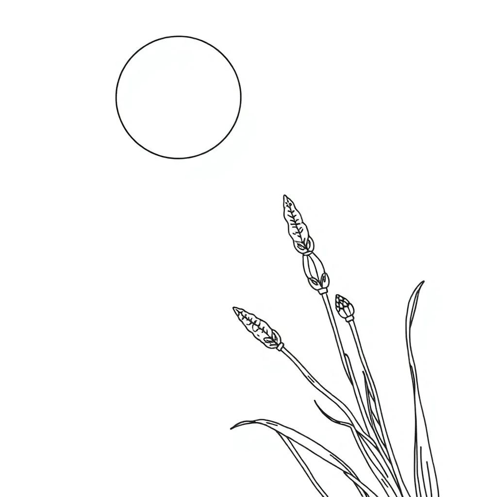 Bluey Printable Coloring Pages Free Bluey Printable Coloring Pages Free