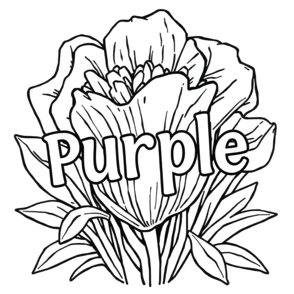 The Color Purple Book Page Count