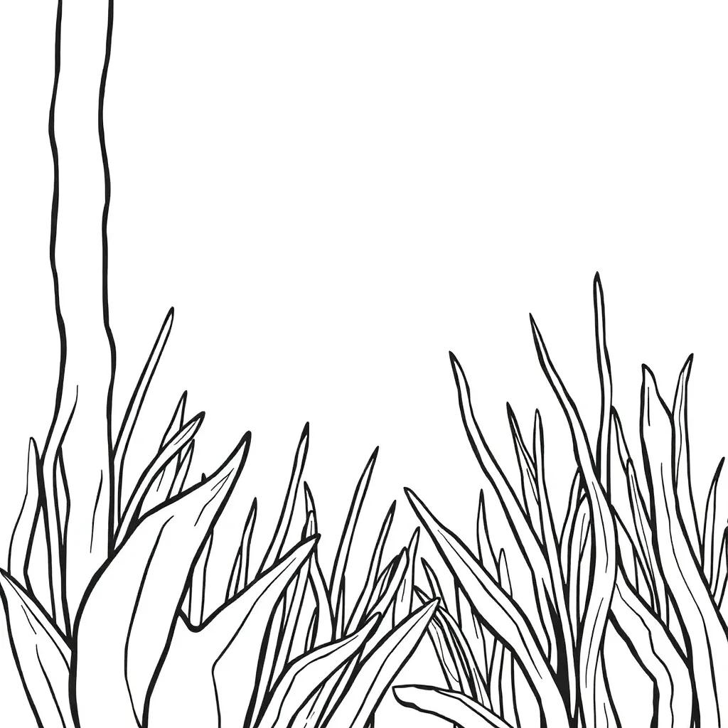 Coloring Pages For Print