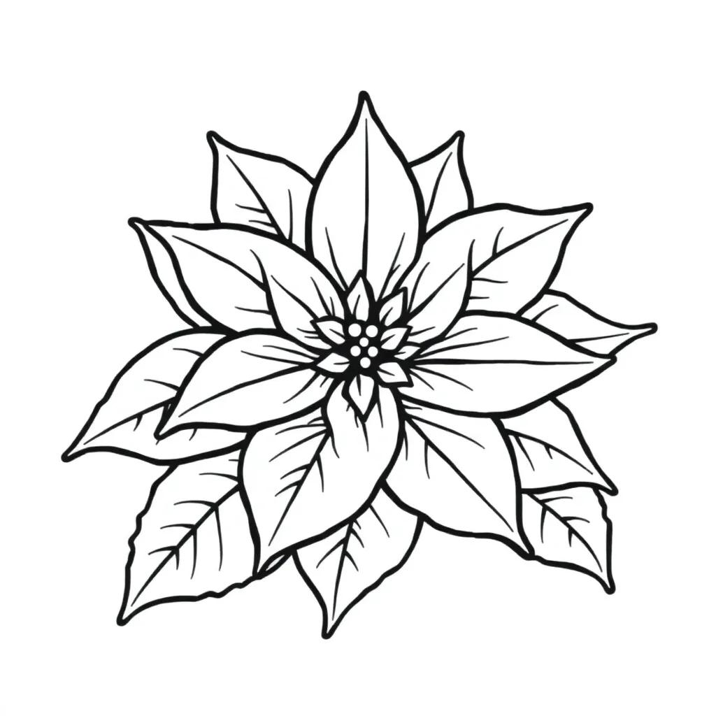 Coloring Pages Of Poinsettia