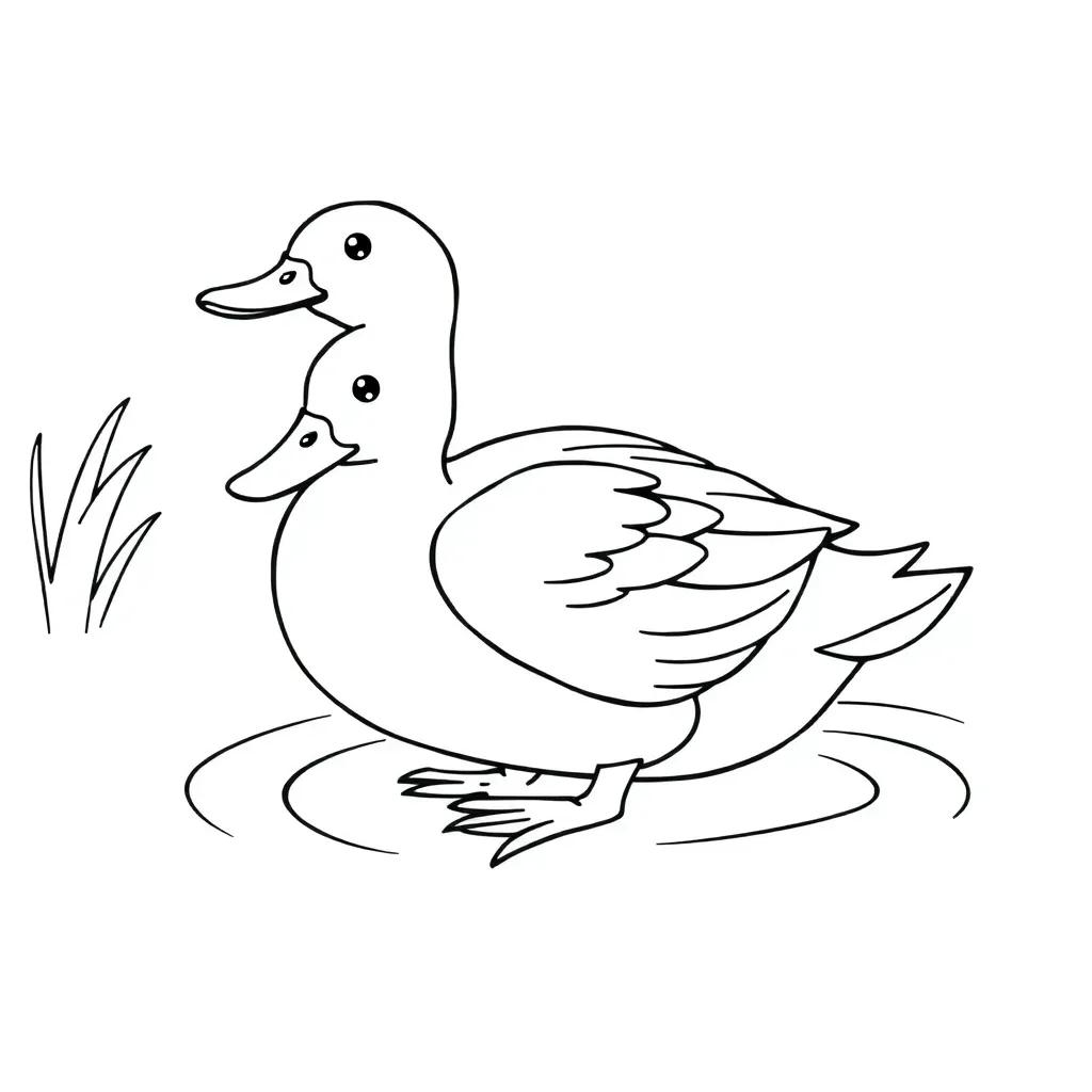 Duck Coloring Book Page