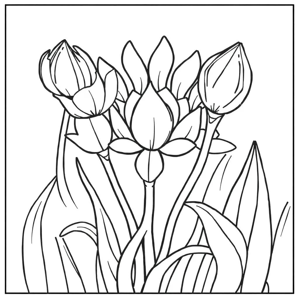 Free Easy Coloring Pages Printable
